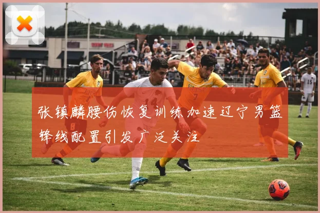 张镇麟腰伤恢复训练加速辽宁男篮锋线配置引发广泛关注